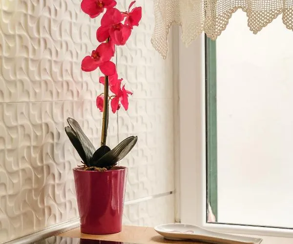 Bird Lamp Luxury Bacvice, דירה