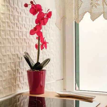 Bird Lamp Luxury Bacvice, Apartamento