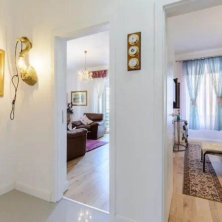 Bird Lamp Luxury Bacvice, * Split